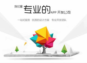 福州APP开发费用解析与网络开发质量保障