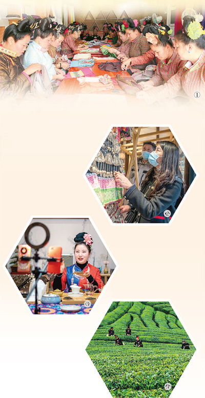 苗岭山乡发展插上网络翅膀