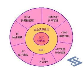 四川顶尖电子商务开发公司推荐 打造专业商城网站与网络开发解决方案